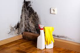 Mold Remediation for Vacation Homes in Belle Mead, NJ